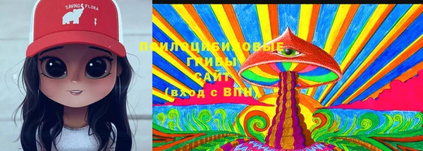 2c-b Вязники