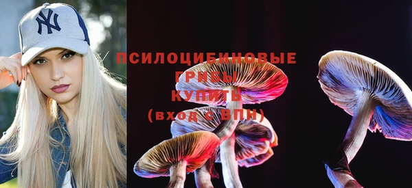 2c-b Вязники